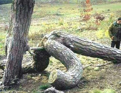 c� le monde a lenv�r